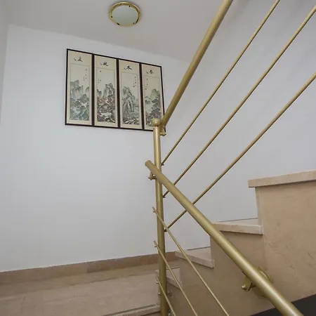 Apartment Ankora *